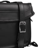 Small Sissy Bar Bag - Cooler Insert