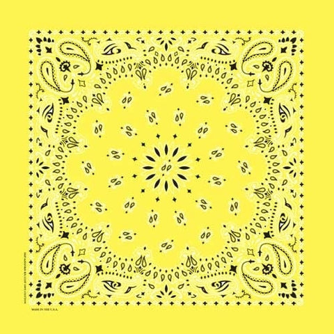 NT443 Bandana Paisley Yellow