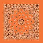 NT444 Bandana Paisley Orange
