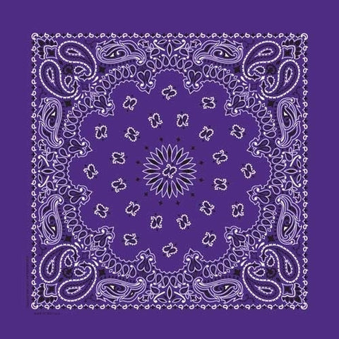 NT446 Bandana Paisley Purple