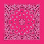 NT4413 Bandana Paisley Hot Pink