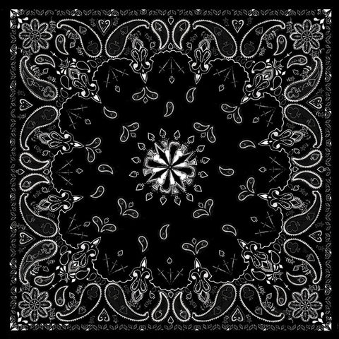 B1- Bandanna Black Paisley