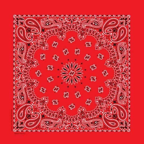 BD25 Bandana Paisley Red