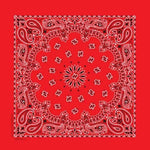 BD25 Bandana Paisley Red