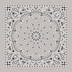 BD252 Bandana Paisley Silver