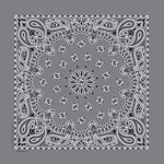 BD255 Bandana Paisley Charcoal