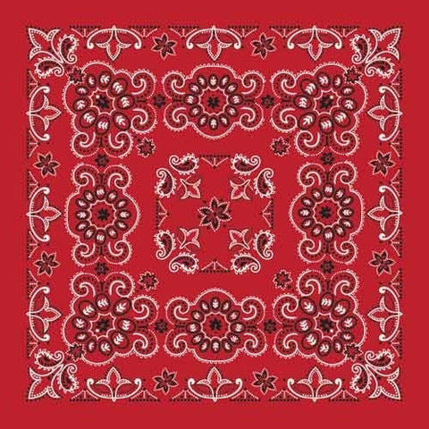 BD257 Bandana Texas Paisley Red [27" x27"]