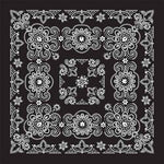 BD258 Bandana Texas Paisley Black [27" x27"]