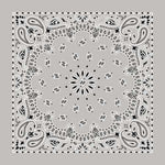 BD2502 Bandana Paisley Silver