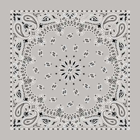 BD2502 Bandana Paisley Silver